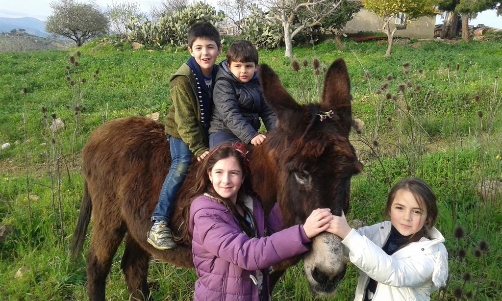 Agriturismo Feudo Muxarello Aragona Экстерьер фото